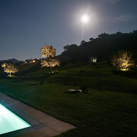 Casa de Férias Santu Martine: With Pool Galtellì