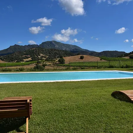 Hébergement de vacances Santu Martine: With Pool Galtellì