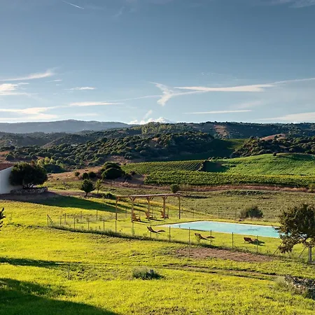 Dom wakacyjny Santu Martine: With Pool Galtellì