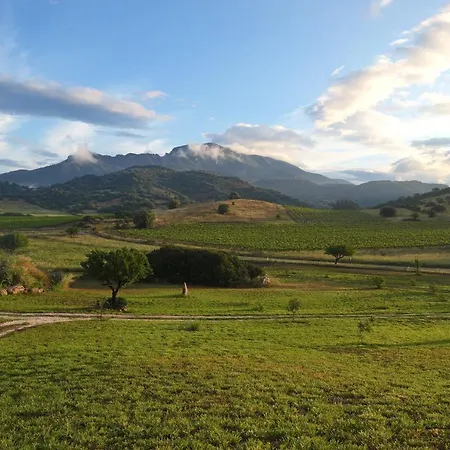 Santu Martine: With Pool Dom wakacyjny Galtellì