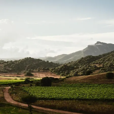 Dom wakacyjny Santu Martine: With Pool *