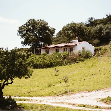 Santu Martine: With Pool Holiday home Galtelli