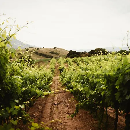 Dom wakacyjny Santu Martine: With Pool