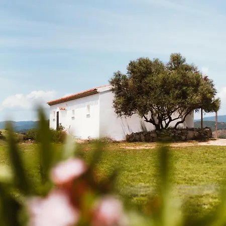 Santu Martine: With Pool *