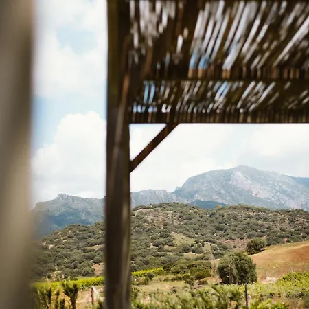 Dom wakacyjny Santu Martine: With Pool Galtellì