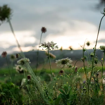 Dom wakacyjny Santu Martine: With Pool