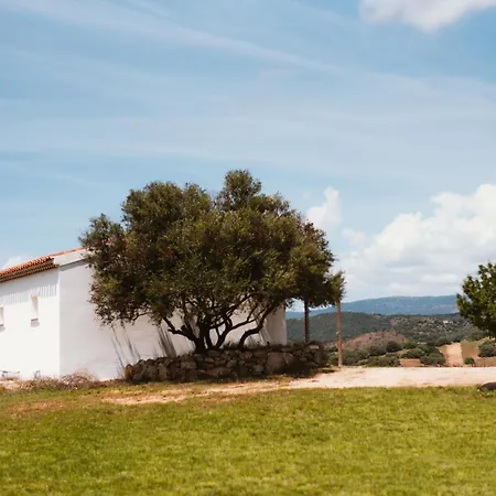 Holiday home Santu Martine: With Pool Galtelli