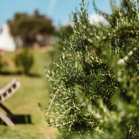 Santu Martine: With Pool Galtellì