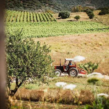 Dom wakacyjny Santu Martine: With Pool *