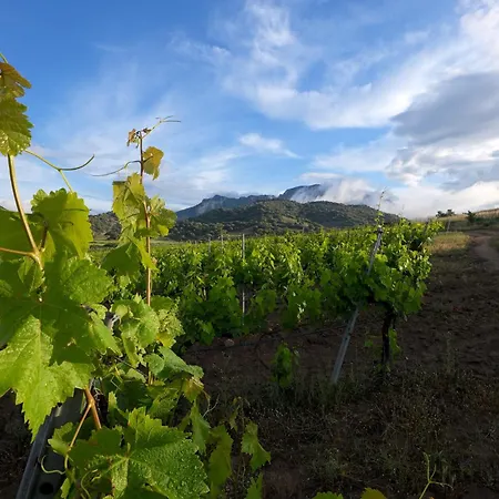 Santu Martine: With Pool Galtellì